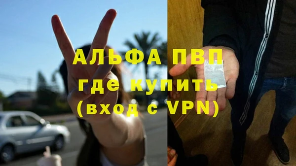 гашик Балахна