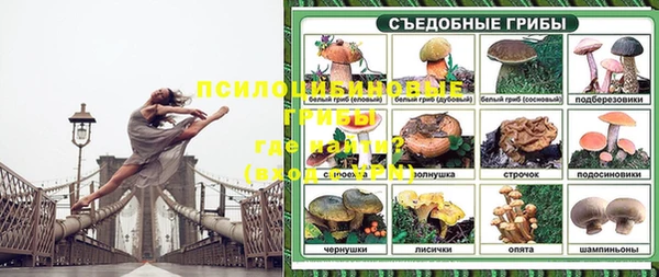 индика Армянск