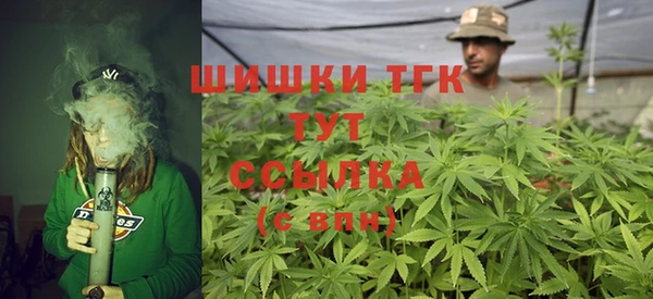 индика Армянск