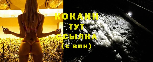 индика Армянск