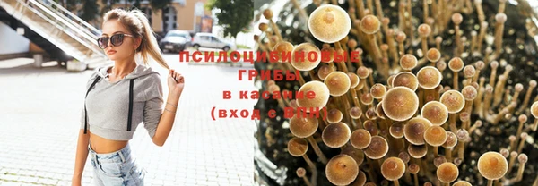 индика Армянск